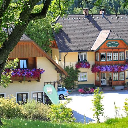 Pension Glitschnerhof Aigen im Ennstal Luaran gambar