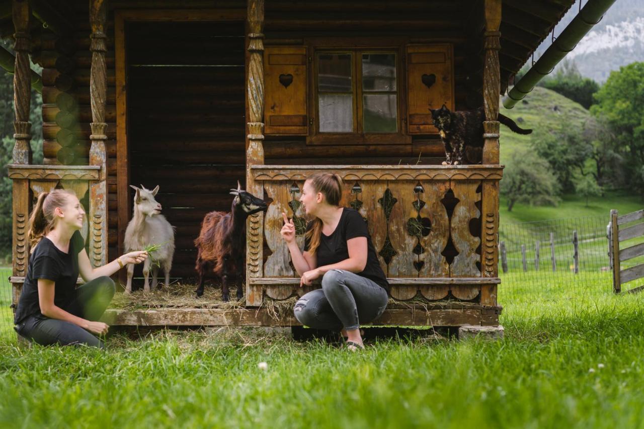 Pension Glitschnerhof Aigen im Ennstal Luaran gambar