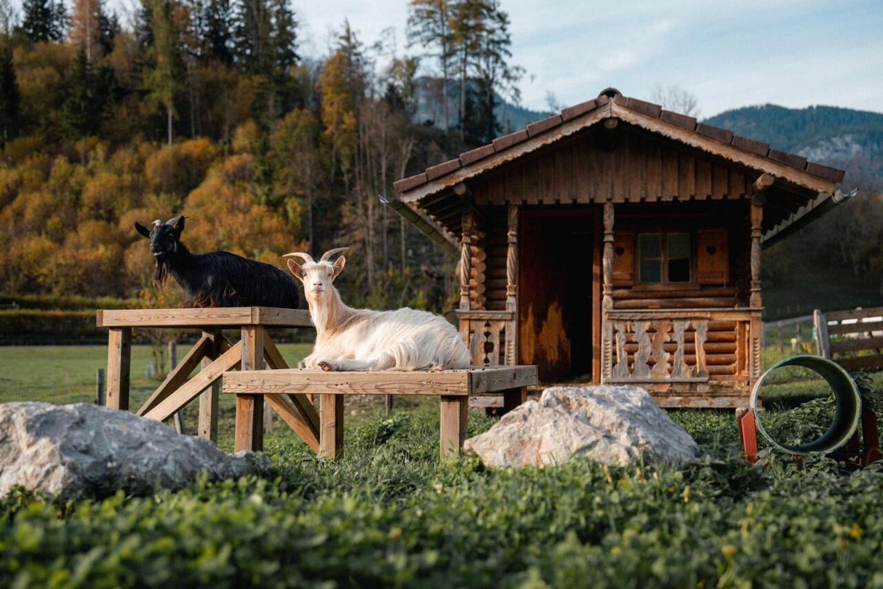 Pension Glitschnerhof Aigen im Ennstal Luaran gambar